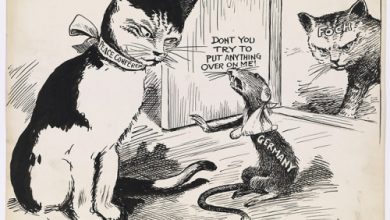 Photo of Rat and Cat War