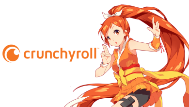 Photo of Crunchyroll : Votre Passerelle vers le Monde de l’Anime